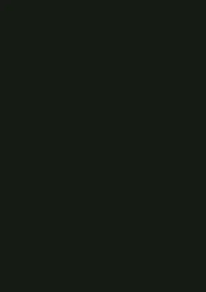 FunderMax 0080FH noir