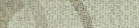 ABS Heyday Beige 0.8x43mm Mutterrolle Saphir - 0.8x43mm