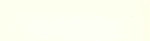 Pfleiderer U 11509XM (U 1306XM) Magnolia 2
