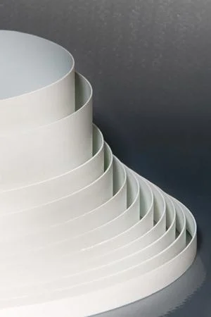 Argolite 1010 SS Kalkweiss 6