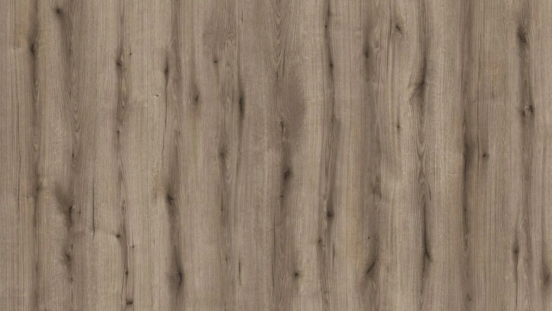 Kaindl K5575 IR Eiche Evoke Knot Fossil