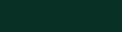 Forbo Linoleum Desktop Kante 4174 conifer 1x60mm Mutterrolle