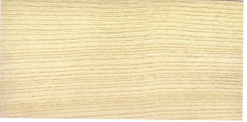 Furnierkante Esche 6