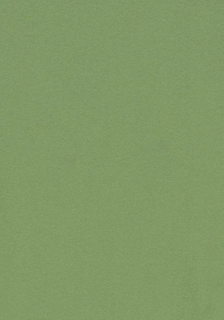 Forbo Linoleum bulletin board 2213 baby lettuce