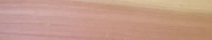 chants en bois véritable pruneau PU 1x 120mm