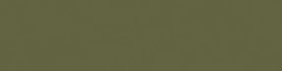 ABS Olive 1x120mm Mutterrolle Saphir