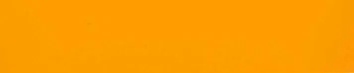 ABS Jaffaorange 1x120mm Mutterrolle Saphir