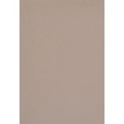 Forbo Linoleum bulletin board 2187 brown rice