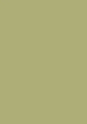 Funder Max 2182 FH Verde Foglia