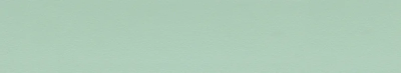 Pfleiderer U 19006SD Mint 2