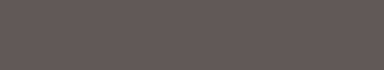 Pfleiderer U 12986XT Grau 2