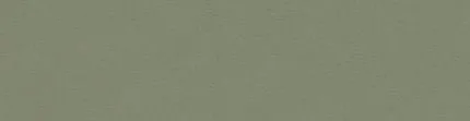 Forbo Linoleum Desktop Kante 4184 Olive 1x60mm Mutterrolle