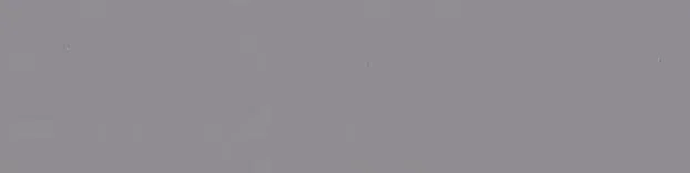 SwissKrono U 171 VL gris achat 2