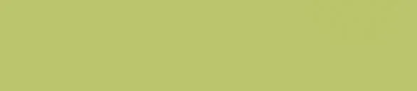 ABS Carambola 1x115mm Saphir